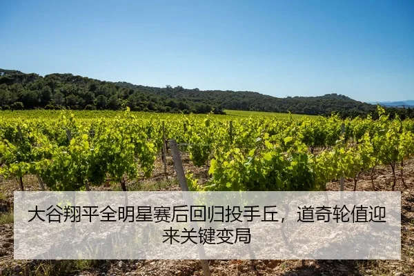 大谷翔平全明星赛后回归投手丘，道奇轮值迎来关键变局