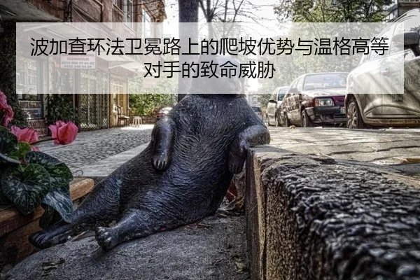 bo-jia-cha-huan-fa-wei-mian-lu-shang-de-pa-po-you-shi-yu-wen-ge-gao-deng-dui-shou-de-zhi-ming-wei-xie-3-595.jpg